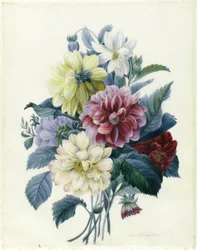 Blandade dahlior, 1840 (wc & kroppsfärg på veläng)